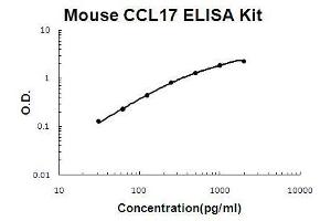 Mouse CCL17/TARC PicoKine ELISA Kit standard curve (CCL17 Kit ELISA)