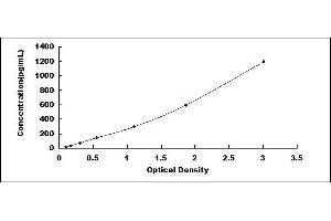 Typical standard curve (IL-10 Kit ELISA)