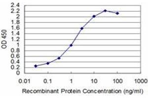 Detection limit for recombinant GST tagged T is approximately 0. (T Brachyury Protein (AA 222-320) anticorps)