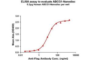 ELISA image for ATP-Binding Cassette, Sub-Family G (WHITE), Member 1 (ABCG1) protein (ABIN7538140)