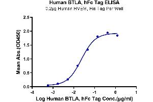 ELISA image for B and T Lymphocyte Associated (BTLA) (AA 31-150) protein (Fc Tag) (ABIN7273997)