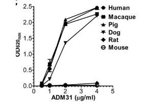 ELISA image for anti-IgG receptor FcRn (FcRn) antibody (ABIN1774762)