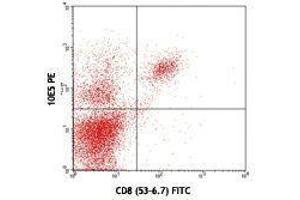 Flow Cytometry (FACS) image for anti-CD226 (CD226) antibody (PE) (ABIN2663191) (CD226 anticorps  (PE))