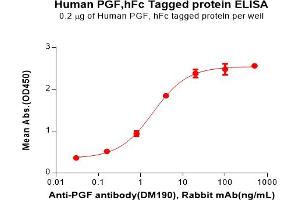 ELISA plate pre-coated by 2 μg/mL (100 μL/well) Human PGF Protein, hFc Tag(ABIN7092739, ABIN7272314 and ABIN7272315) can bind Anti-PGF antibody(DM190), Rabbit mAb in a linear range of 0. (PLGF Protein (AA 19-170) (Fc Tag))