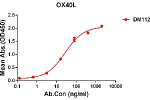 ELISA plate pre-coated by 2 μg/mL (100 μL/well) Human OX40L protein, mFc-His tagged protein ABIN6961094, ABIN7042217 and ABIN7042218 can bind Rabbit anti-OX40L monoclonal antibody  (clone: DM112) in a linear range of 0. (TNFSF4 anticorps  (AA 51-183))