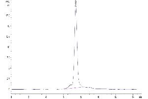 The purity of Human GARP(S138G)&Latent TGF Beta Complex is greater than 95 % as determined by SEC-HPLC. (GARP & Latent TGF beta 1 Complex (Ser138Glu-Mutant) protein (His-Avi Tag))