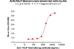 ELISA plate pre-coated by 5 μg/mL (100 μL/well) Human TSLP Protein, hFc Tag (ABIN7092793, ABIN7272398 and ABIN7272399) can bind Anti-TSLP Neutralizing antibody (ABIN7478008 and ABIN7490983) in a linear range of 741-6667 ng/mL. (Recombinant TSLP (Tezepelumab Biosimilar) anticorps)