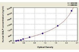 Typical standard curve (ALPL Kit ELISA)