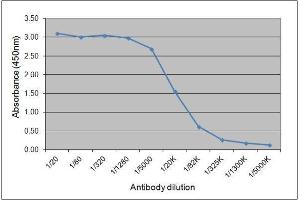 ELISA image for Mouse anti-Horse IgGa antibody (ABIN2474776) (Souris anti-Cheval IgGa Anticorps)