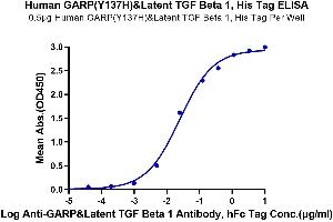 Immobilized Human GARP (Y137H) &Latent TGF Beta 1 Complex, His Tag at 5 μg/mL (100 μL/well) on the plate. (GARP & Latent TGF beta 1 Complex (Tyr137His-Mutant) protein (His-Avi Tag))