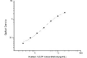 Typical standard curve (Ki-67 Kit ELISA)