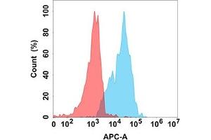 Flow cytometry analysis with Anti-CD70 (DM191) on Expi293 cells transfected with human CD70 (Blue histogram) or Expi293 transfected with irrelevant protein (Red histogram). (CD70 anticorps)