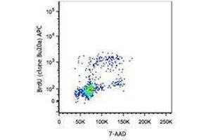 Flow Cytometry (FACS) image for Bromodeoxyuridine (BrdU) (ABIN2669170) (Bromodeoxyuridine (BrdU))