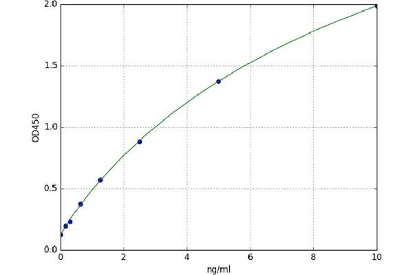 IMMP2L Kit ELISA