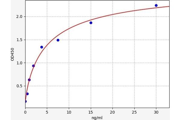 LECT2 Kit ELISA