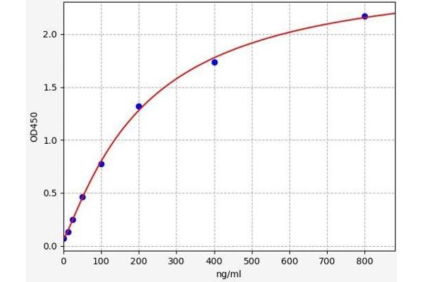 C5b-9 Kit ELISA