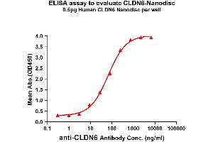Elisa plates were added with Flag Tag C-Nanodisc (0. (Claudin 6 Protein (CLDN6))