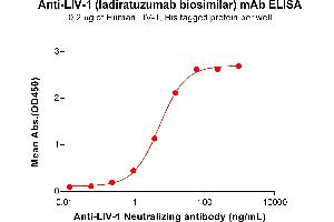 ELISA plate pre-coated by 2 μg/mL (100 μL/well) Human LIV-1 Protein, His Tag ABIN7455490, ABIN7490968 and ABIN7490970 can bind Anti-LIV-1 Neutralizing antibody (ABIN7478009 and ABIN7490985) in a linear range of 0. (Recombinant LIV-1 (Ladiratuzumab Biosimilar) anticorps)