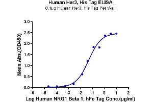 ELISA image for Receptor Tyrosine-Protein Kinase ErbB-3 (ERBB3) (AA 20-643) protein (His-Avi Tag) (ABIN7274801)