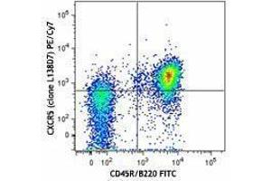 Flow Cytometry (FACS) image for anti-Chemokine (C-X-C Motif) Receptor 5 (CXCR5) antibody (PE-Cy7) (ABIN2659140) (CXCR5 anticorps  (PE-Cy7))