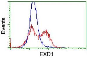 HEK293T cells transfected with either RC206223 overexpress plasmid (Red) or empty vector control plasmid (Blue) were immunostained by anti-EXD1 antibody (ABIN2453984), and then analyzed by flow cytometry. (EXD1 anticorps)