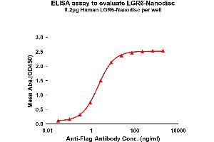 Elisa plates were pre-coated with Flag Tag -Nanodisc (0. (LGR6 Protéine)