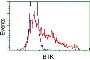 Image no. 2 for anti-Bruton Agammaglobulinemia tyrosine Kinase (BTK) antibody (ABIN1496977) (BTK anticorps)
