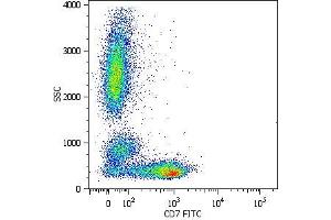 Surface staining of human peripheral blood cells with anti-human CD7 (MEM-186) FITC. (CD7 anticorps  (PE-DyLight 594))