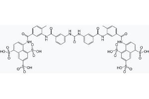 Chemical Structure : Suramin sodium salt (Suramin Sodium Salt)