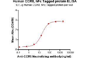 ELISA plate pre-coated by 1 μg/mL (100μL/well) Human , hFc Tag (ABIN6964400, ABIN7042855 and ABIN7042856) can bind Anti- Neutralizing antibody(ABIN7093079 and ABIN7272609) in a linear range of 3. (Recombinant CCR8 anticorps)