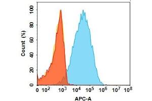 Flow Cytometry (FACS) image for anti-CALCRL (Erenumab Biosimilar) antibody (ABIN7538756)