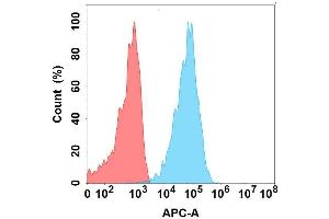 Flow cytometry analysis with Anti-CA on Expi293 cells transfected with human CA (Blue histogram) or Expi293 transfected with irrelevant protein (Red histogram). (CLEC9A anticorps)